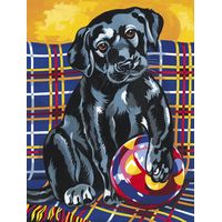 Malen nach Zahlen - Schwarzer Labrador