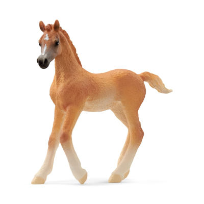 Schleich - HORSE CLUB 13984 - Araber Fohlen