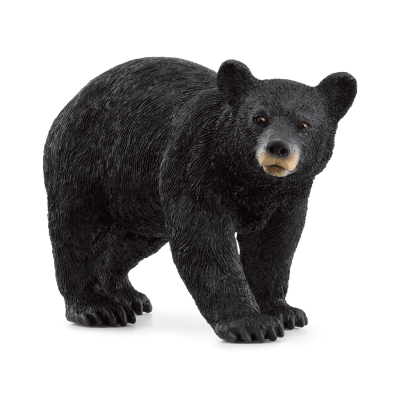 Schleich - WILD LIFE 14869 - Amerikanischer Schwarzbär