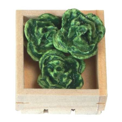 flache Gemüsekiste 3 cm mit Kopfsalat