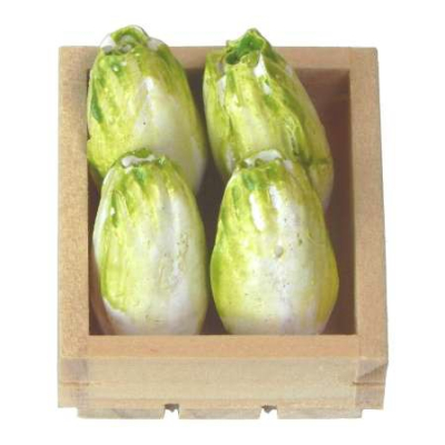 flache Gemüsekiste 3 cm mit Chinakohl