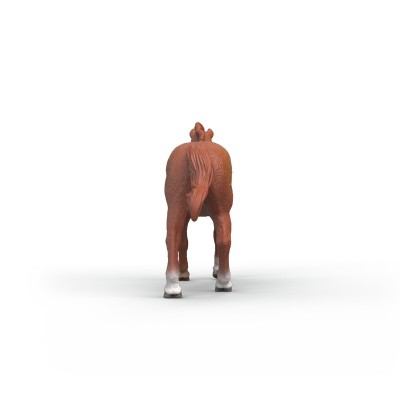 Schleich - 14915 - HORSE CLUB Englisches Vollblut Hengst - 4