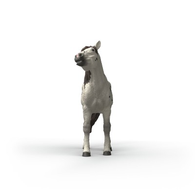 Schleich - 14916 - HORSE CLUB Knabstrupper Wallach - 4