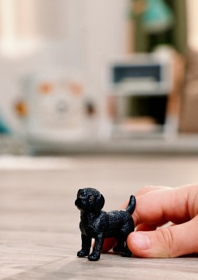 Schleich - 14922 - FARM WORLD Schwarzer Labrador Retriever Welpe - 2