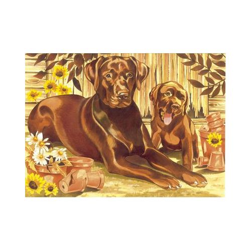 Malen nach Zahlen - Labrador