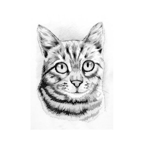 Welt der Malerei - Malen mit Bleistiften - 2