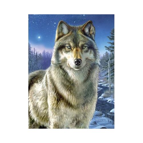 Malen nach Zahlen klein 