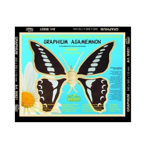 Holzbausatz Graphium Agamemnon - 3D Puzzle