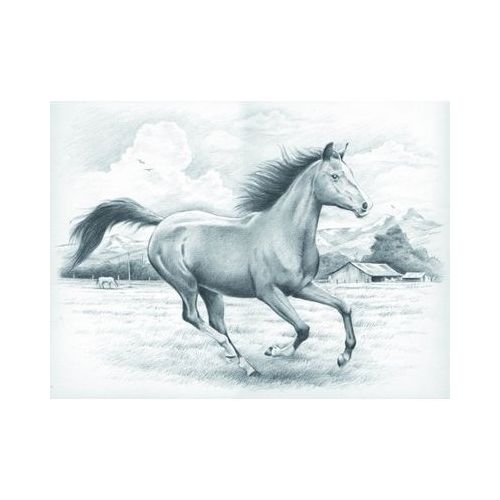 Malen mit Bleistiften 