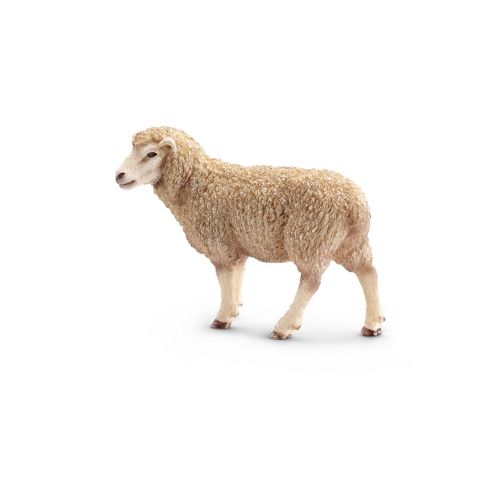 Schleich - 13743 - Schaf