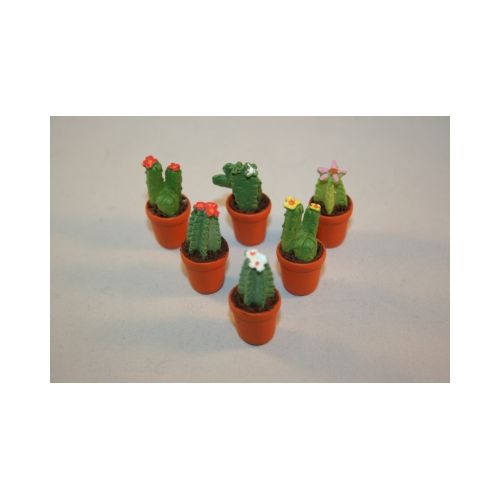 Kaktus - Kakteen 3cm verschiedene Formen und Farben