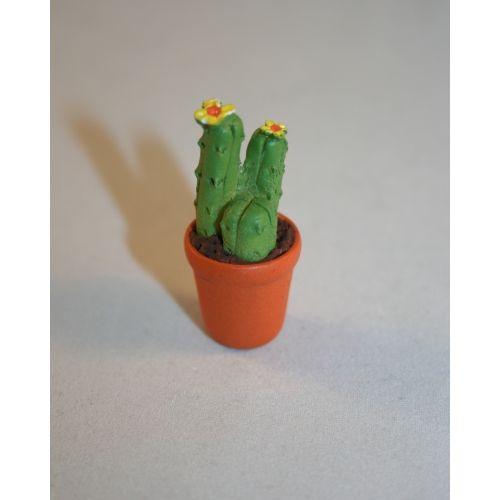 Kaktus - Kakteen 3cm verschiedene Formen und Farben - 2