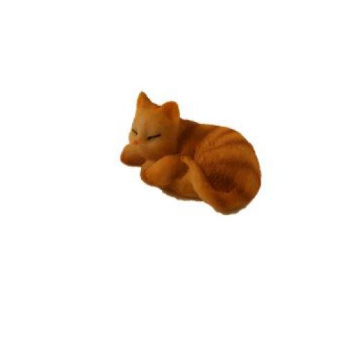 Katze 2-2,5cm