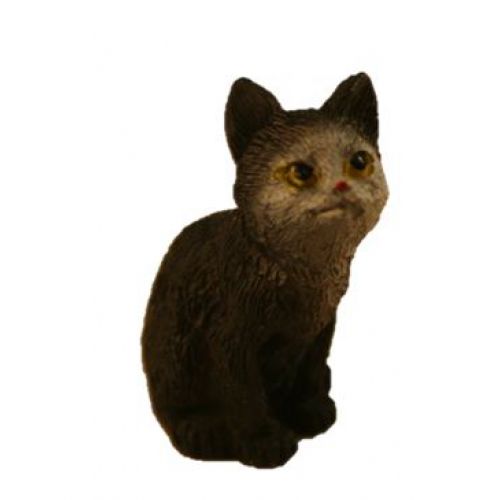 Katze 3-3,5cm