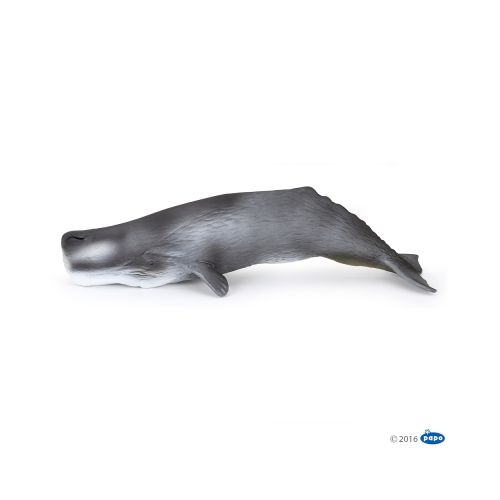 Papo 56021 - Pottwal