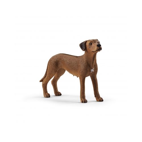 Schleich - 13895 - Rhodesian Ridgeback
