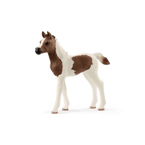 Schleich - 13839 - Araberpinto Fohlen