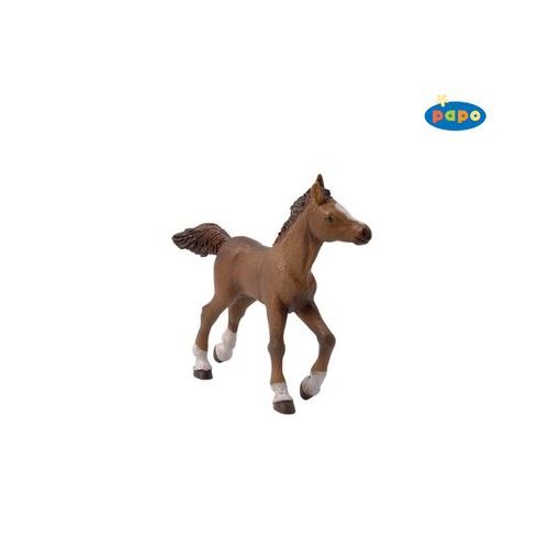 Papo 51076 - Pferdewelt - Anglo-Araber Fohlen