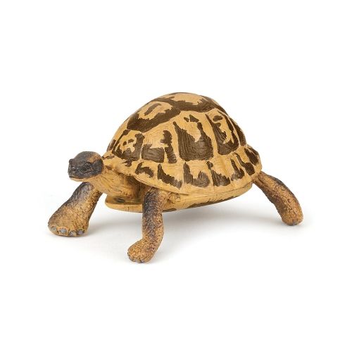 Papo 50264 - Wildtiere - Hermanns Schildkröte