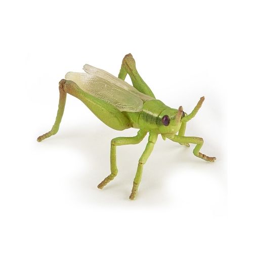 Papo 50268 - Wildtiere - Heuschrecke