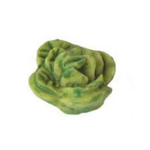 8er Set Kopfsalat 1,5 cm