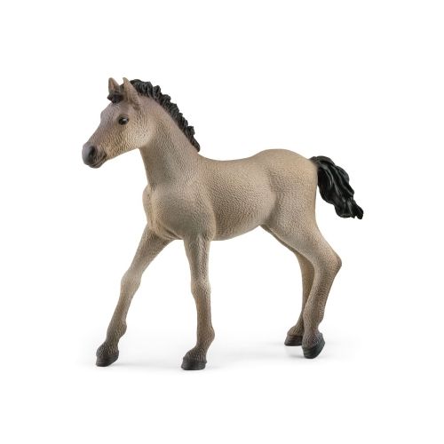 Schleich 13949 - Criollo Definitivo Fohlen