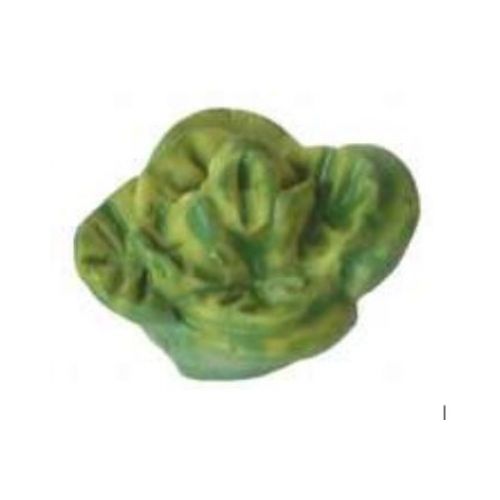 8er Set Kopfsalat 1 cm - 2